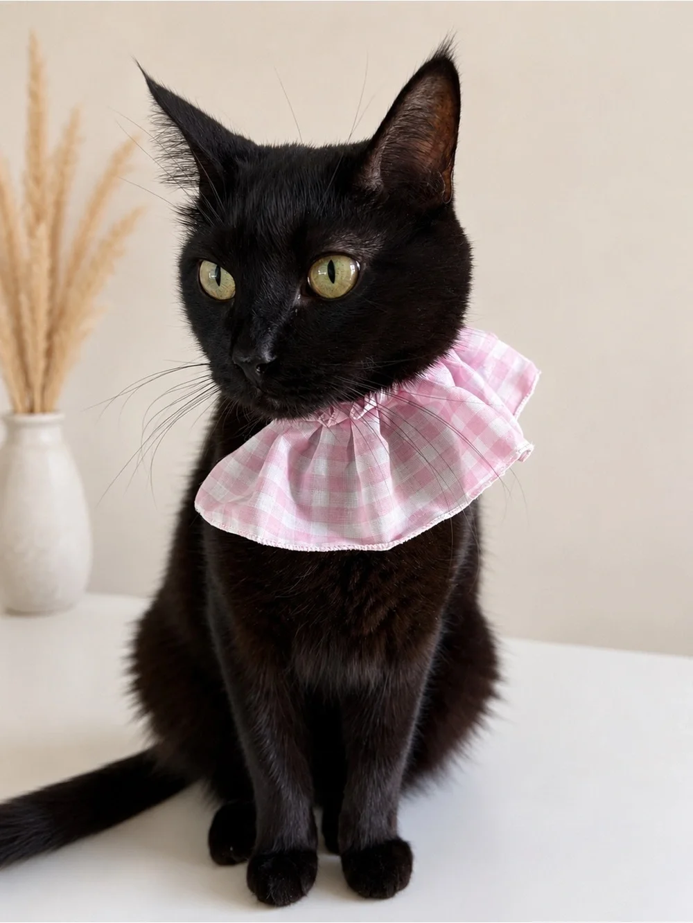 Pink Gingham Removable Ruffle for Pets